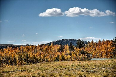 171 Antelope Way, Como, CO 80432 - photo 2