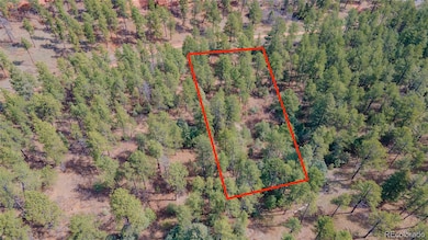 8257 Bannock Dr, Larkspur, CO 80118 - photo 7