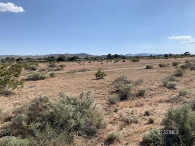 509-090-30 Bowman Rd, Ridgecrest, CA 93555 - photo 3