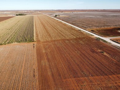 6655 Tiger Rd, Ropesville, TX 79358 - photo 2