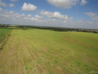 NN Billman Rd, Donna, TX 78537 - photo 5