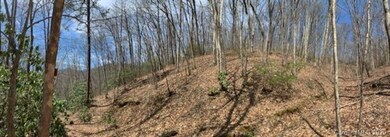 27 Pathfinder Trail, Asheville, NC 28806 - photo 5