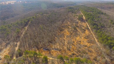 10330 High Rock Rd, Rudy, AR 72952 - photo 3