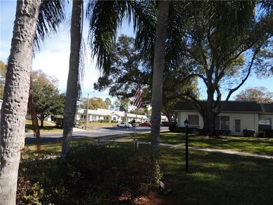 Lots of Palm Trees & Huge Oak Shade Trees