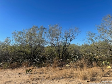 LOTS 2451-2452 Avenue J, Christine, TX 78012 - photo 2