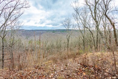 River Gorge Ranch Lot 1354 HD-29