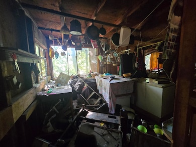 00 Panther Gap Rd, Honeydew, CA 95545 - photo 4