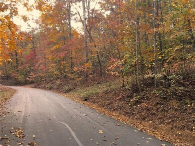 Lot 6 access from Bent Oak Drive