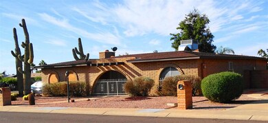 palo verde 03
