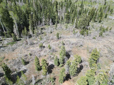 248 N Spring Dr, Kolob, UT 84767 - photo 5