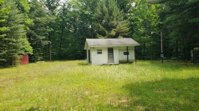 970 W 14 Mile Rd, Bitely, MI 49309 - photo 3