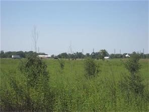 00000 Joerger, Rosenberg, TX 77471 - photo 2
