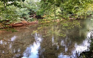 Additional View