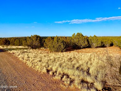 1965 Tee St, Show Low, AZ 85901 - photo 3