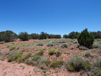 P1000164