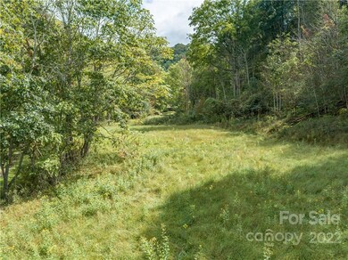 000 Silvers Gap Rd, Burnsville, NC 28714 - photo 6