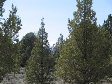 8 Drover Way, Bend, OR 97702 - photo 6