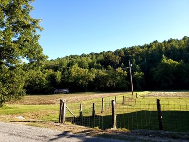 1971 Short Creek Rd, Linden, TN 37096 - photo 5