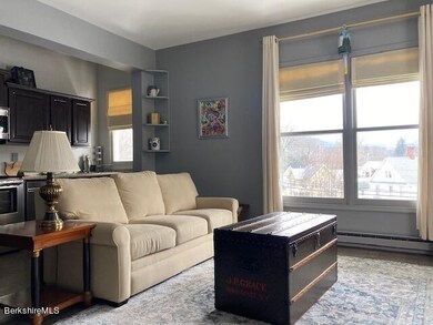 80 Maple Ave unit D, Great Barrington, MA 01230 - photo 5