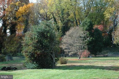 6704 Oak Dr, Alexandria, VA 22306 - photo 2