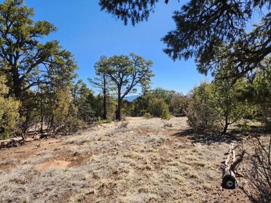 land for sale in Colorado