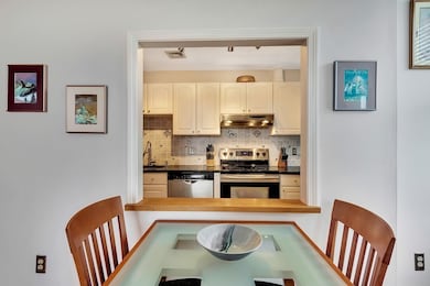 41 Morton St unit 24, Jamaica Plain, MA 02130 - photo 5