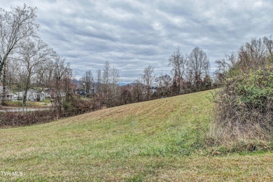 Tbd Wallace Pike, Bristol, VA 24202 - photo 4