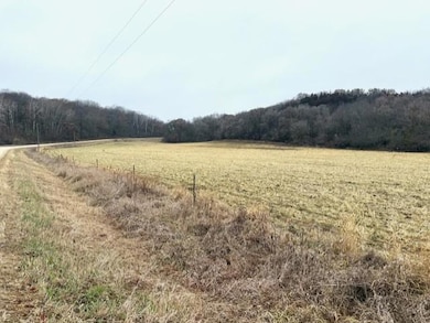 19xx 65th St NE, Rochester, MN 55906 - photo 3