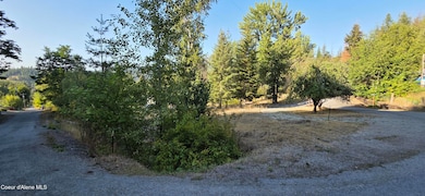 930 Lower Page Rd, Smelterville, ID 83868 - photo 7