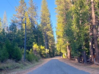 1557 Lily Valley Cir, West Point, CA 95255 - photo 5