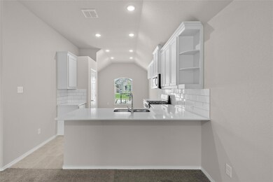 906 Versailles Ct, Cleburne, TX 76033 - photo 3