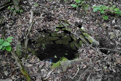 12641 Oak Grove Rd, Winslow, AR 72959 - photo 7