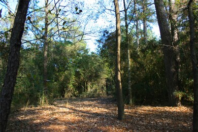 Lot 11 Silver Elm Place, Magnolia, TX 77355 - photo 6