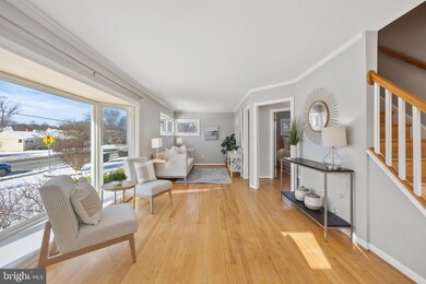 6727 Quander Rd, Alexandria, VA 22307 - photo 4