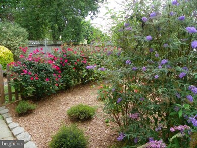 123 Martin Dr, Manassas Park, VA 20111 - photo 3