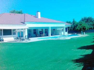 LARGE LOT