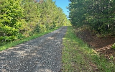 Additional View