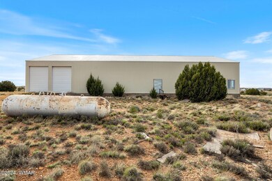 7151WDarleneLn-Snowflake-AZ-2