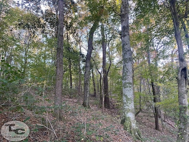 2081 Gallatin St, Hazlehurst, MS 39083 - photo 7