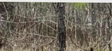 1020 Spring Hill Dr, Albany, GA 31721 - photo 2