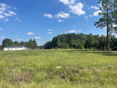 536 Lundy Rd, Sylvester, GA 31791 - photo 3