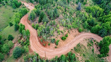 1693 Golden Cycle Cir, Cripple Creek, CO 80813 - photo 4