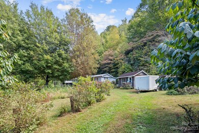 75 Hayes Cove Rd, Leicester, NC 28748 - photo 3