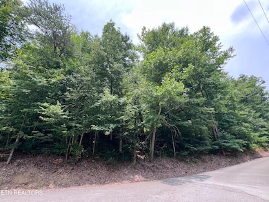 89 Branch Connector Rd, Flat Lick, KY 40935 - photo 2