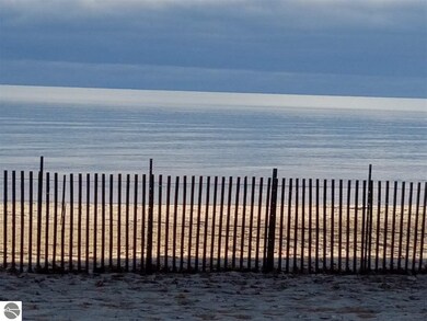 3898 E Michigan Ave, Au Gres, MI 48703 - photo 4