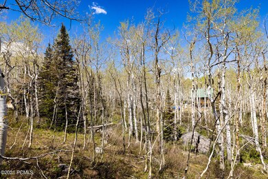 2460 West Spruce Road Midway UT 84049 US