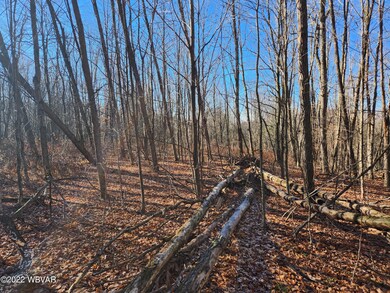 0 Fitzgerald Rd unit LOT 1 WB-96231, Dushore, PA 18614 - photo 3