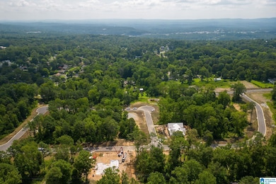 3345 Chandler Way, Hoover, AL 35226 - photo 6