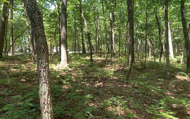 Additional View