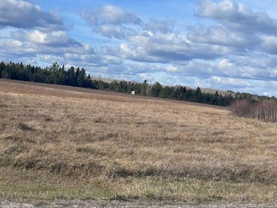 12790 Behning Rd, Ossineke, MI 49766 - photo 2